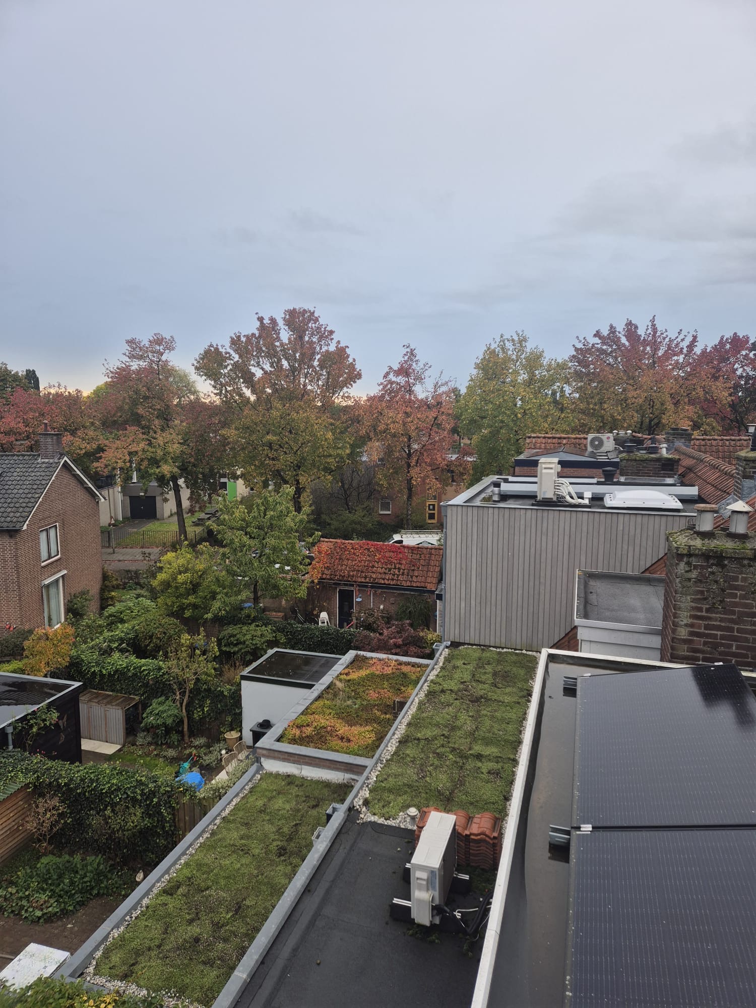 Groendak omgeving Nijmegen
