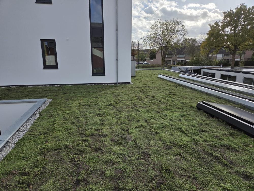 plat dak vergroenen Oosterbeek specialist
